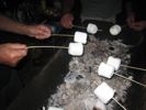 Cliquer pour agrandir